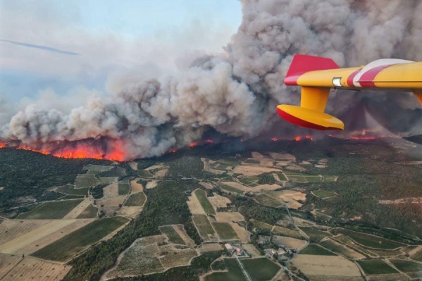 Opération sauvetage pour la vendange enfumée par les incendies de l’été