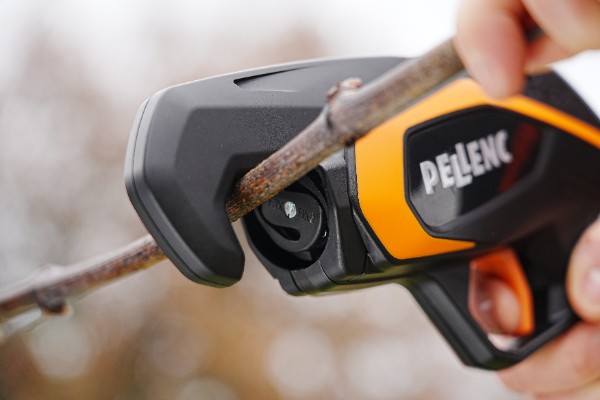 Nouvelle gamme d’attacheurs viticoles chez Pellenc