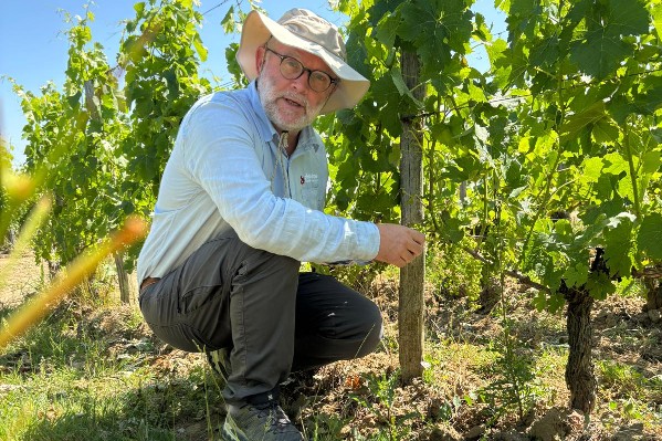 « Redonner le conseil aux vendeurs de phytos, c’est aller à contre-courant de l’Histoire »