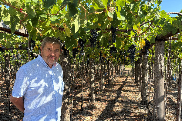 'Le marché du vin a de l’avenir mais dans une nouvelle dimension, probablement plus marginale'
