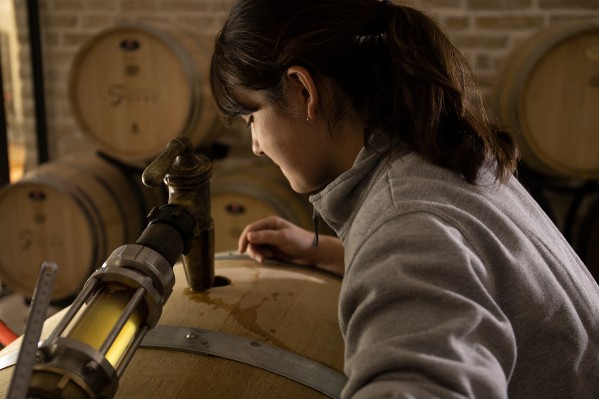 Les vignerons bourguignons dévoilent leur plan de bataille contre Brettanomyces