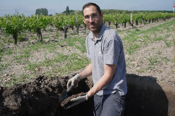 'On constate plus de vigueur' Les vignerons ajustent le temps de repos du sol pour mieux lutter contre le court-noué dans les vignes grâce à un diagnostic des nématodes