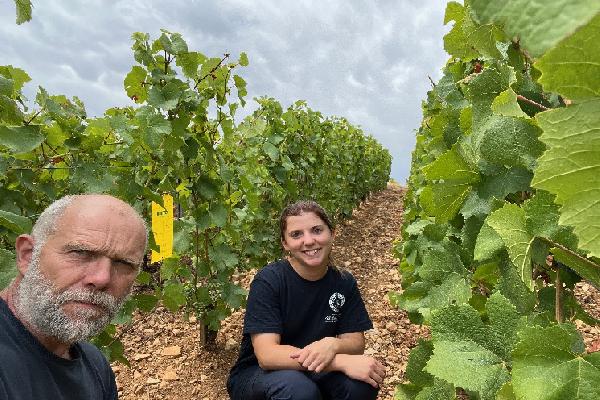 'Le produit est efficace s'il est appliqué tôt sur jeunes larves' : les bons débuts de Lumière pour lutter contre les cicadelles de la flavescence dorée en bio
