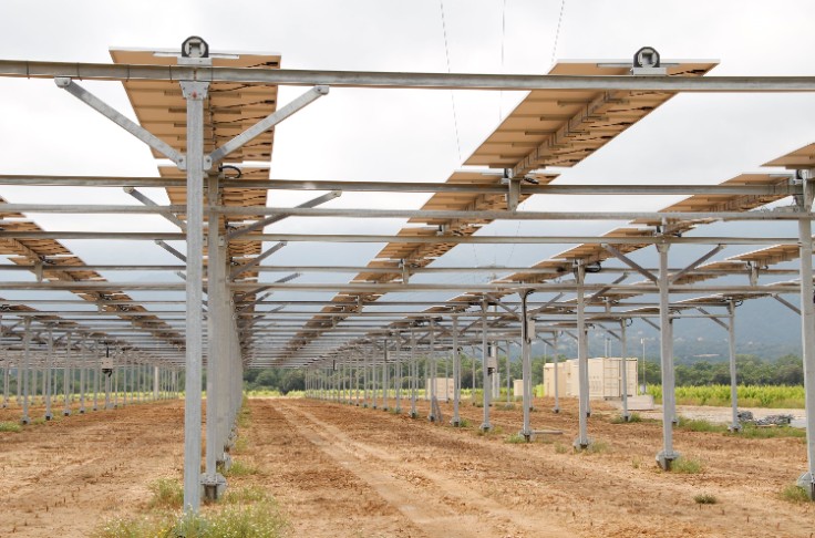 Eiffage se branche sur le photovoltaïque sur vigne de Sun’Agri