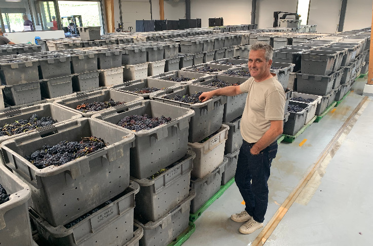 La Champagne fait le plein de raisins et de sourires