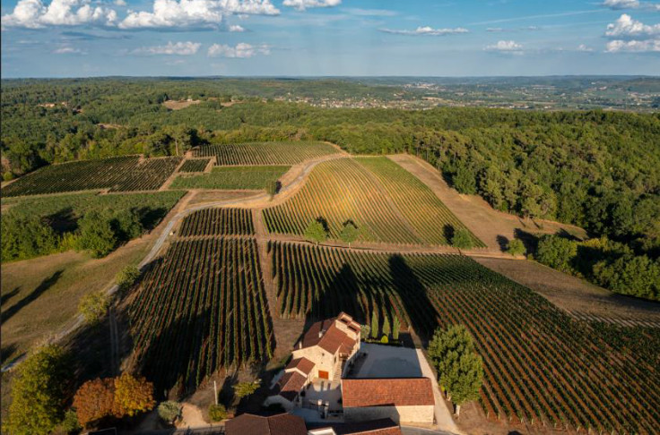 Gérard Bertrand prend fait et Cause pour les vins de Cahors