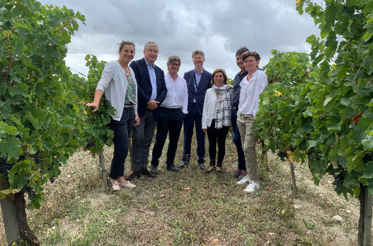 Carrefour maintient son ambition sur le développement des vins bio