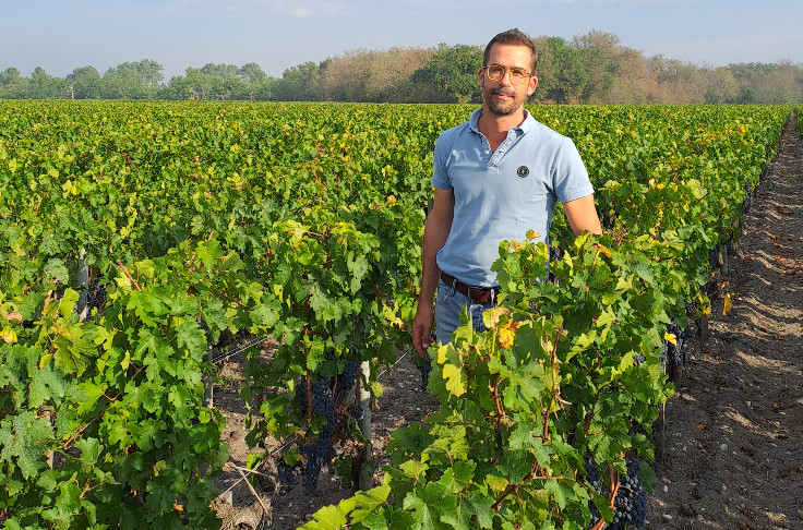 2022, grand millésime solaire pour les vins de Bordeaux