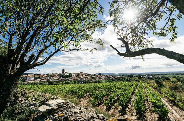 Les crus Boutenac et La Livinière à un pas de l'AOC communale