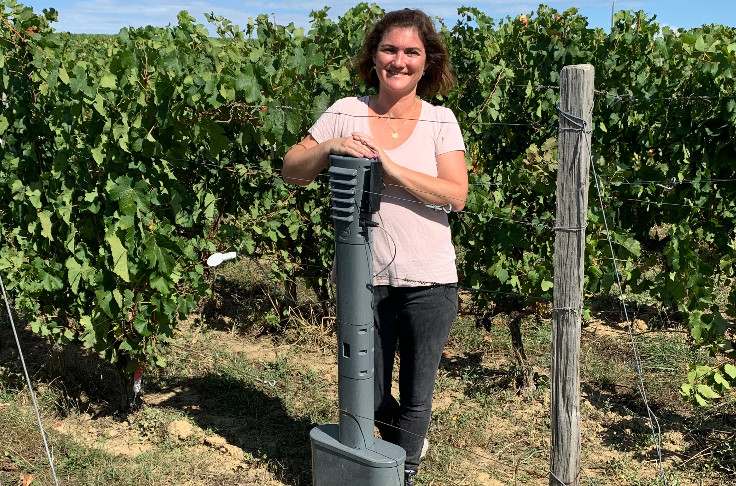 Ce piquet connecté transforme la viticulture de précision en réalité contre le gel et le mildiou   