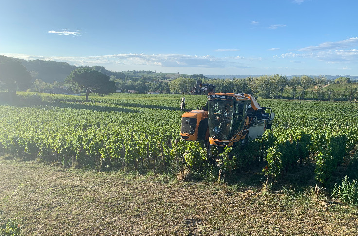 La France redevient le deuxième producteur mondial de vin en 2022   