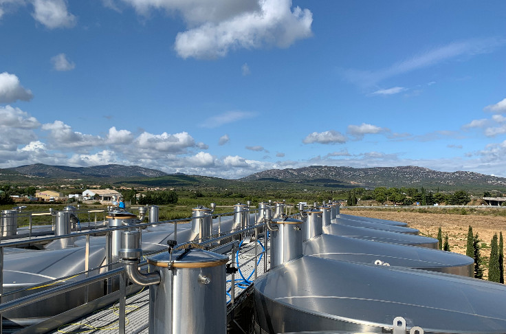 Les Vignobles Cap Leucate à la pointe de l’adaptation au changement climatique