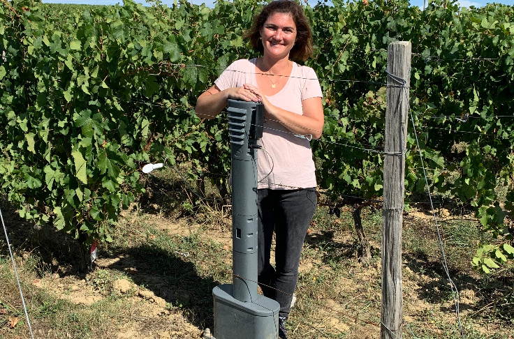A connected vine post that turns precision viticulture into a genuine ally against frost and mildew