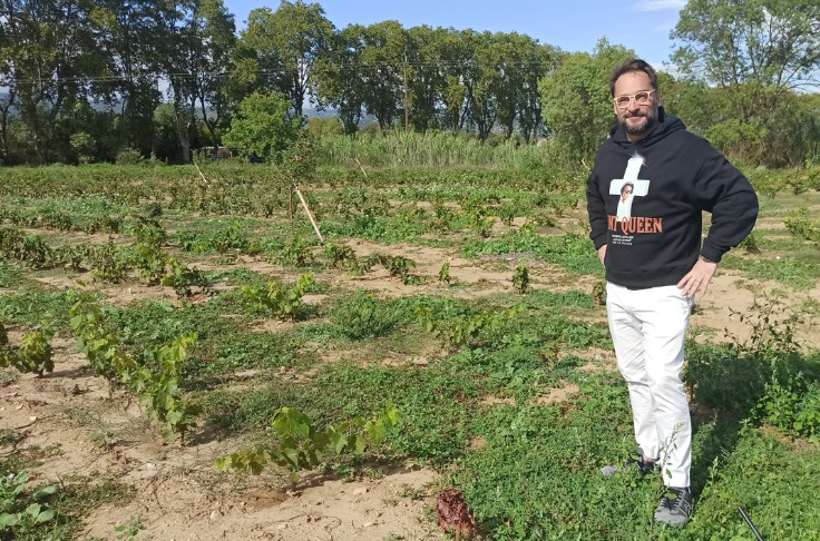 Ce vigneron teste les vaches pour le prétaillage, les chèvres pour la tonte...