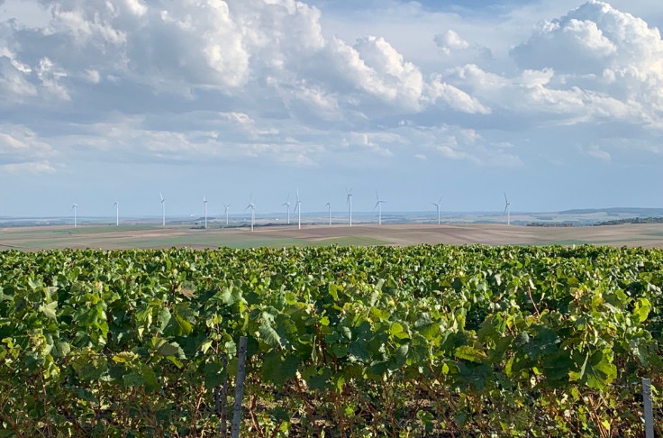 Victoire des paysages viticoles de Champagne face aux éoliennes