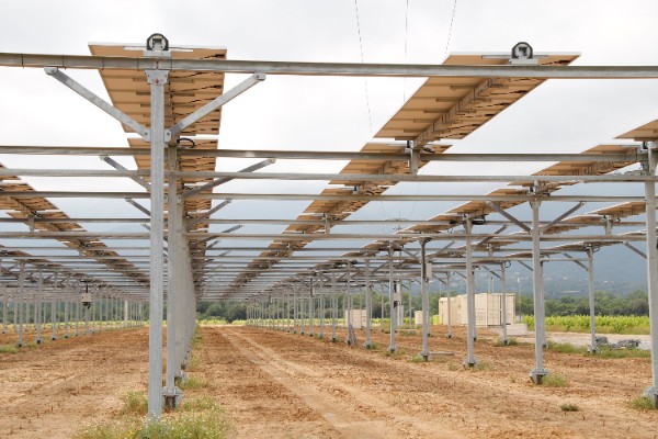 Eiffage se branche sur le photovoltaïque sur vigne de Sun’Agri