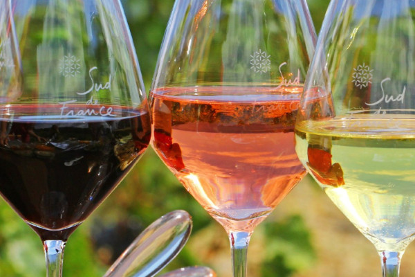 Vers un délai d’écoulement des vins illicitement étiquetés Sud de France ?