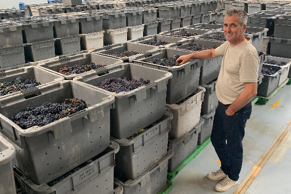 La Champagne fait le plein de raisins et de sourires