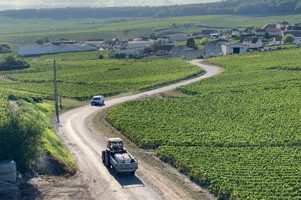 Négociations bloquées pour la nouvelle assurance climatique du vignoble   