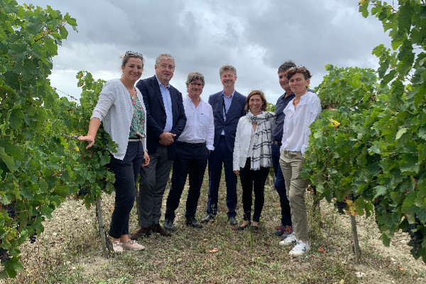 Carrefour maintient son ambition sur le développement des vins bio