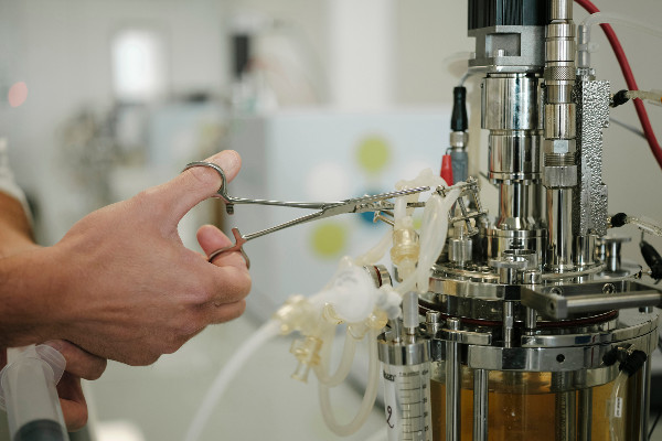 'Il faut embrasser la complexité pour concevoir un vignoble réellement durable'