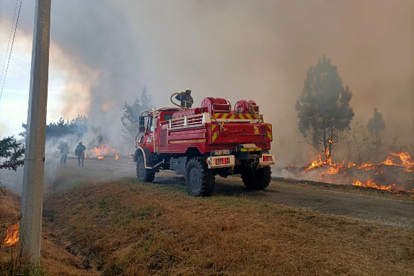 Les incendies du Médoc épargnent les vignes et leurs raisins 🍇☁️🔥