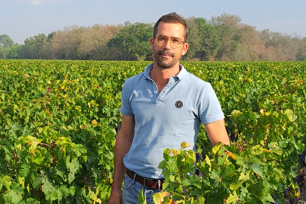 2022, grand millésime solaire pour les vins de Bordeaux