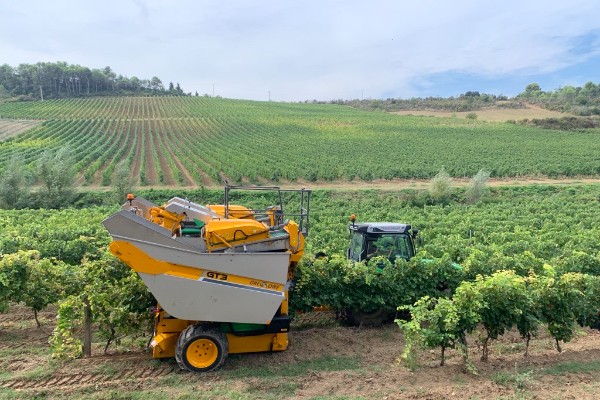 Avec la GT3, Grégoire renouvelle sa machine à vendanger G3.220