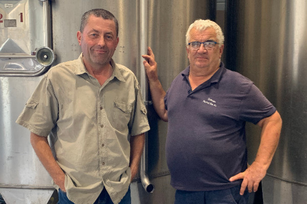 'Monsieur le ministre, il faut 100 à 150 millions € pour arracher d’urgence des vignes à Bordeaux'