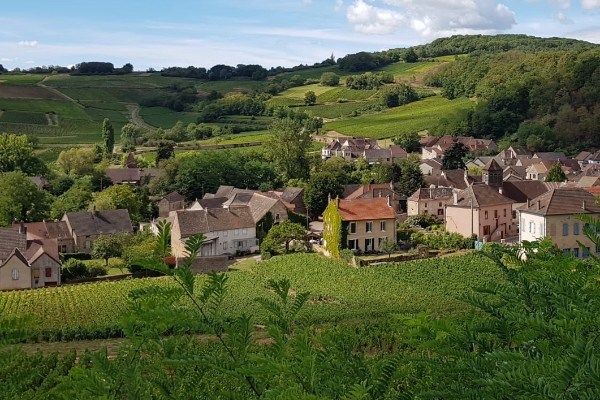 Tout juste validées, les nouvelles chartes 'riverains' déjà attaquées