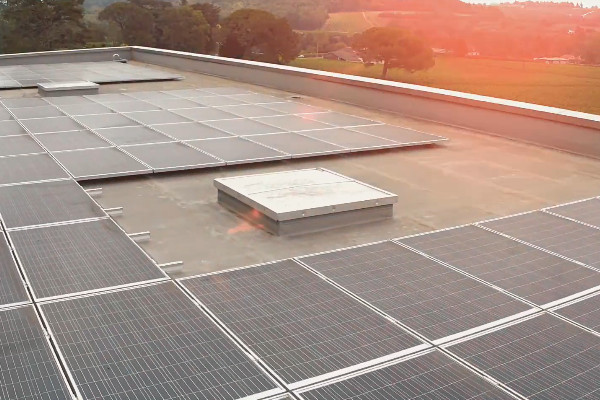 Les avantages vignerons à tomber dans le panneau photovoltaïque