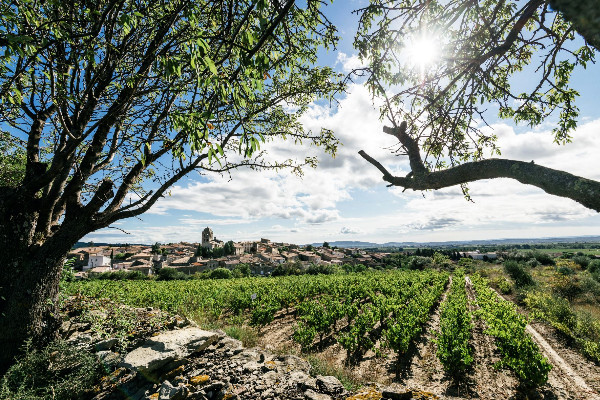 Les crus Boutenac et La Livinière à un pas de l'AOC communale