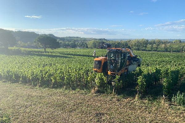 La France redevient le deuxième producteur mondial de vin en 2022   