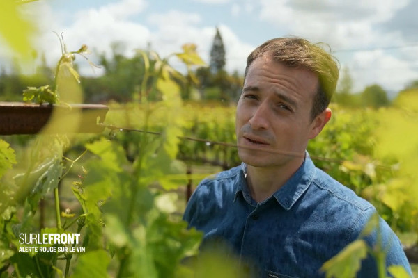 Hugo tout sauf clément avec les vignerons changeant leurs pratiques face au changement climatique