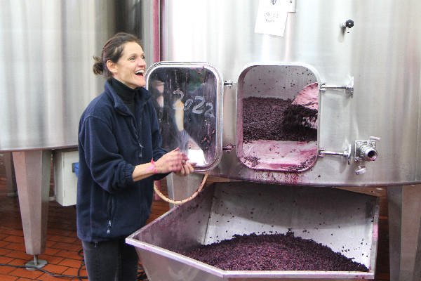 Les vinifications 2022 en Bourgogne vues par les Hospices de Beaune