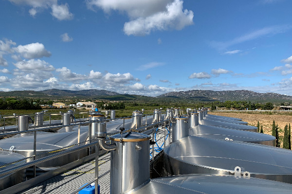 Les Vignobles Cap Leucate à la pointe de l’adaptation au changement climatique