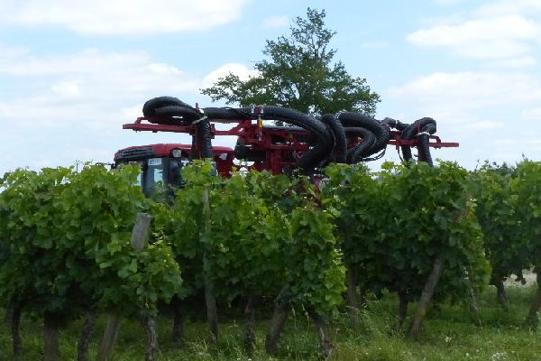  Faute de main-d'oeuvre, la prestation de service viticole s'envole