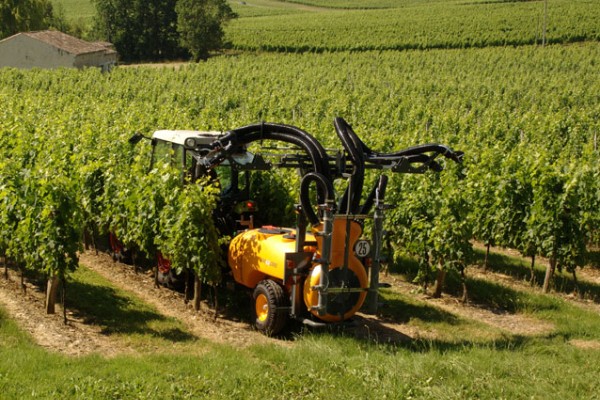 Le millésime 2022 assèche les résidus de pesticides des raisins et moûts