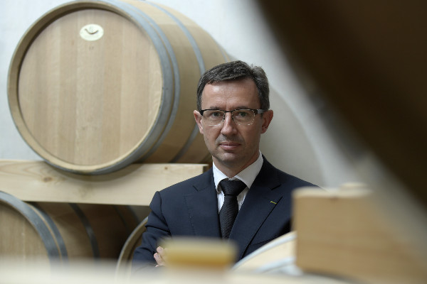 'C’est maintenant que le gouvernement doit mettre en place les outils d’aide à la filière vin'