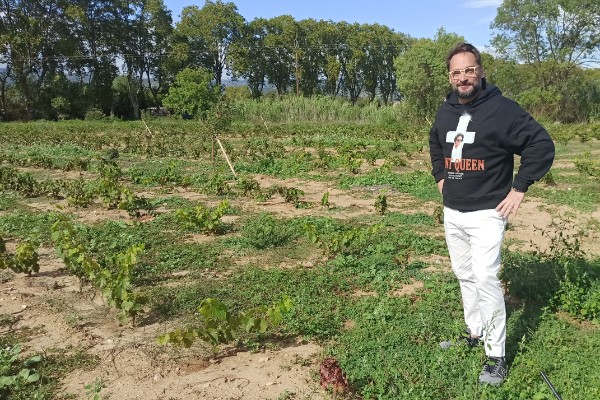 Ce vigneron teste les vaches pour le prétaillage, les chèvres pour la tonte...