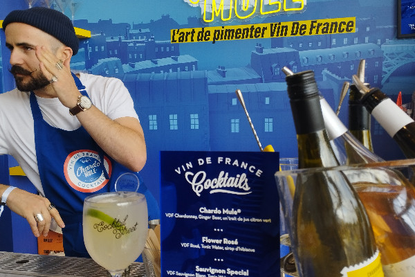 Les vins de France toujours plus branchés