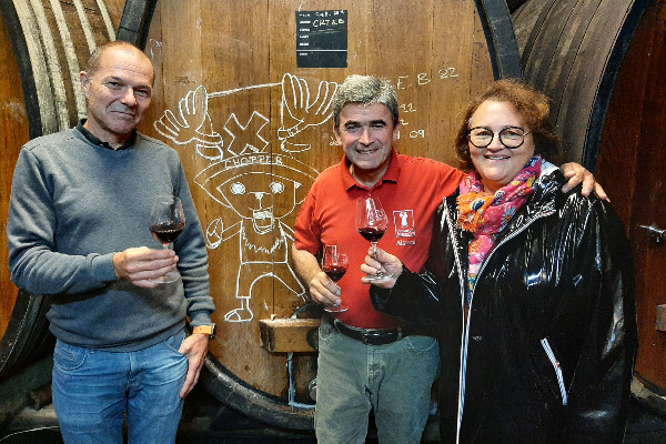 Des vendanges plus généreuses qu’espéré en Alsace