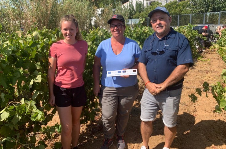 Vineyards in southern France using biological control against cryptoblabes