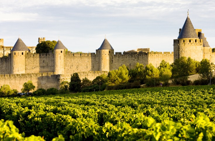 Wines in Aude, southern France, may lack aroma and colour this year Wines in Aude, southern France, may lack aroma and colour this year
