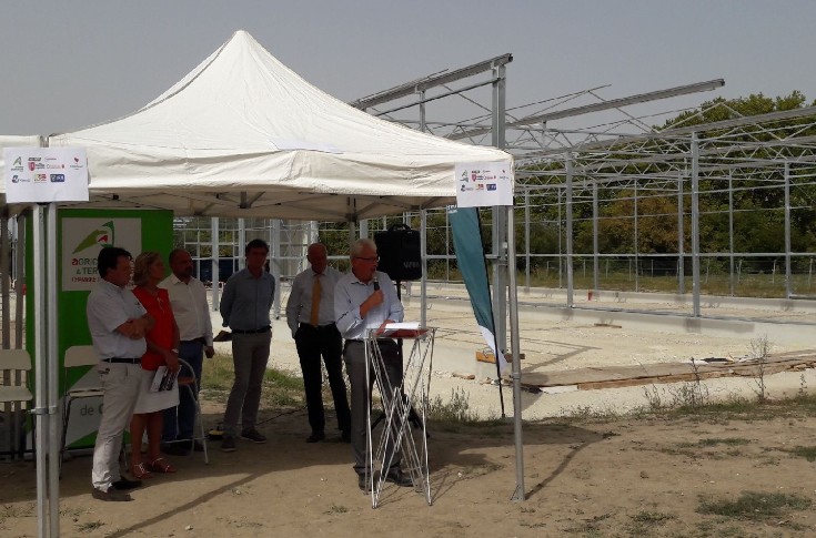 Greffons de vignes et porte greffes bientôt produits sous serre