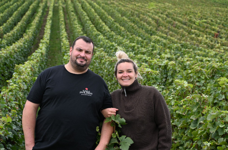Une coach pour des vendanges 