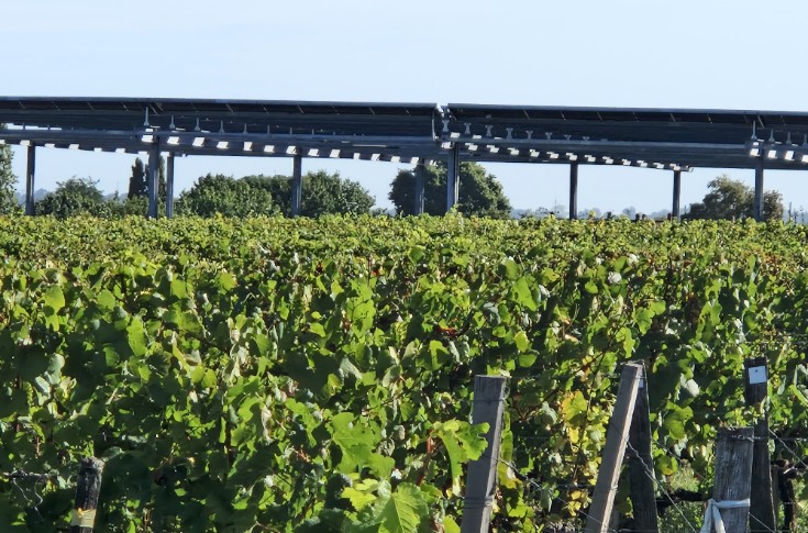 Des panneaux photovoltaïques au-dessus des vignes de Bordeaux