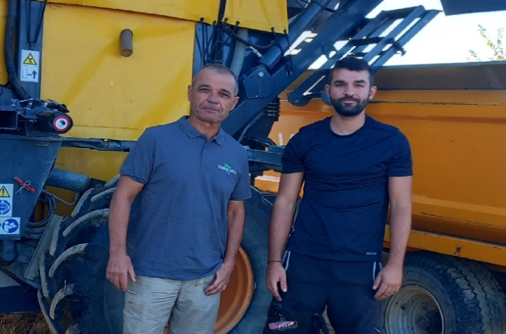 Dans le Languedoc, les vendanges laissent un goût amer aux vignerons