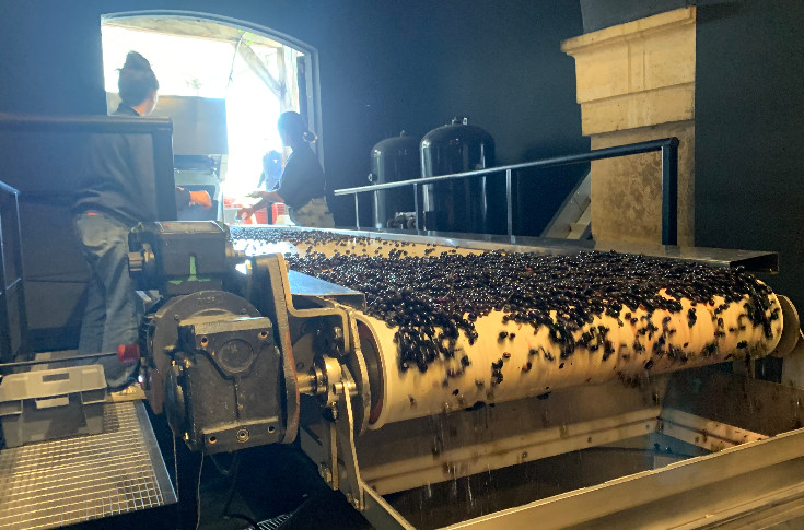 L'aide à l’emploi saisonnier maintenu dans le vignoble en 2024, mais pas (encore ?) d'avancée pour la transmission du foncier
