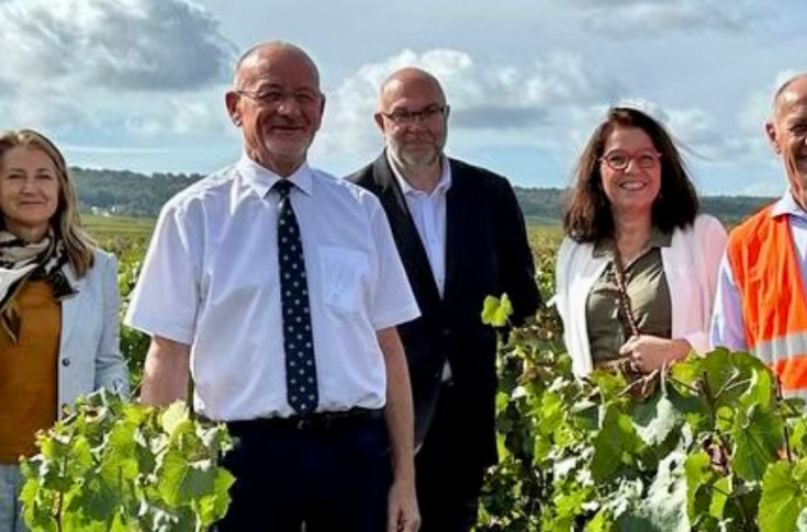 Une avancée fiscale souhaitable, et possible !, pour la transmission des vignobles en 2024